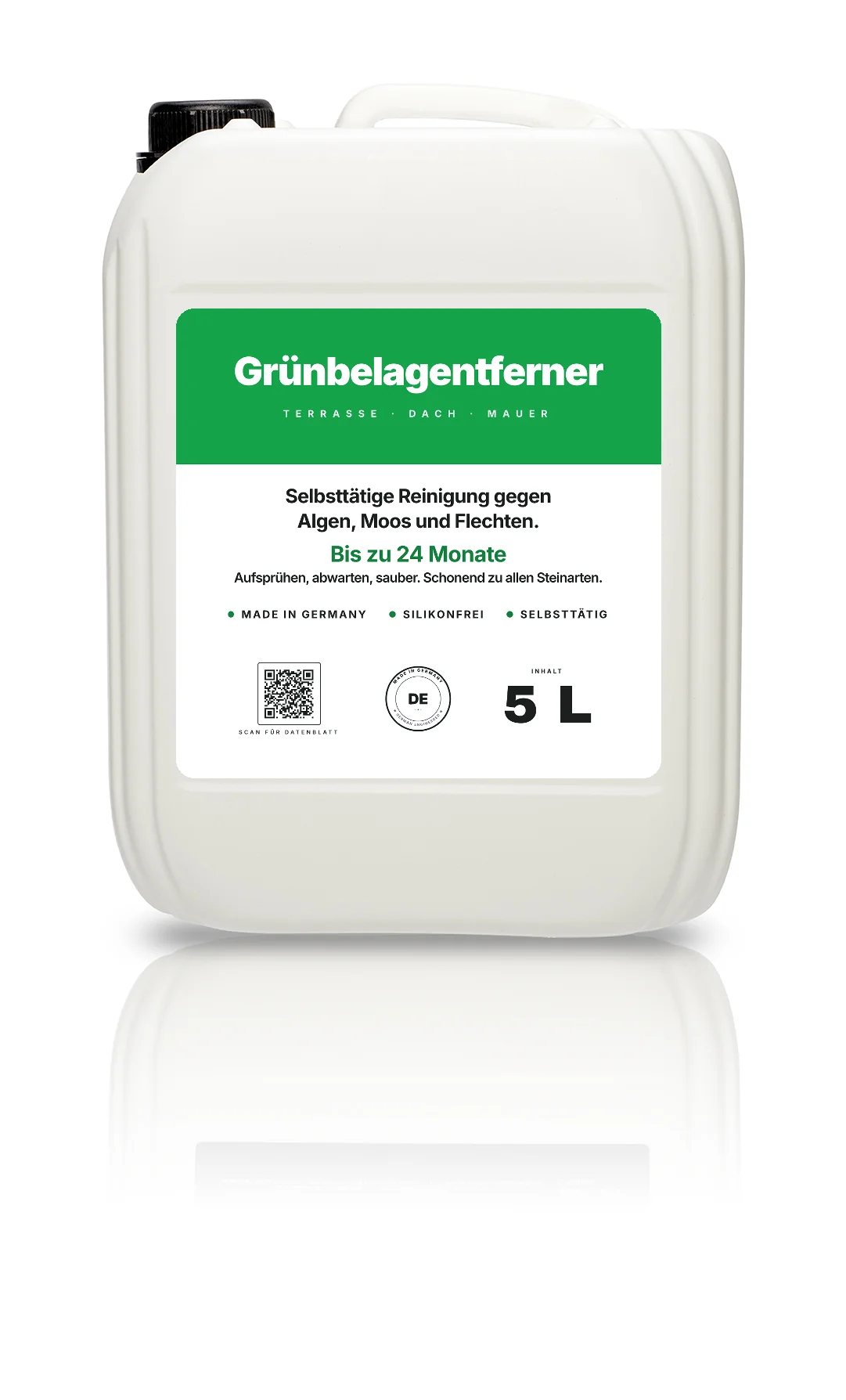 Grünbelagentferner